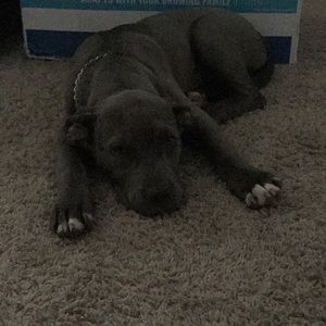 Meet your Posher, Jasmin